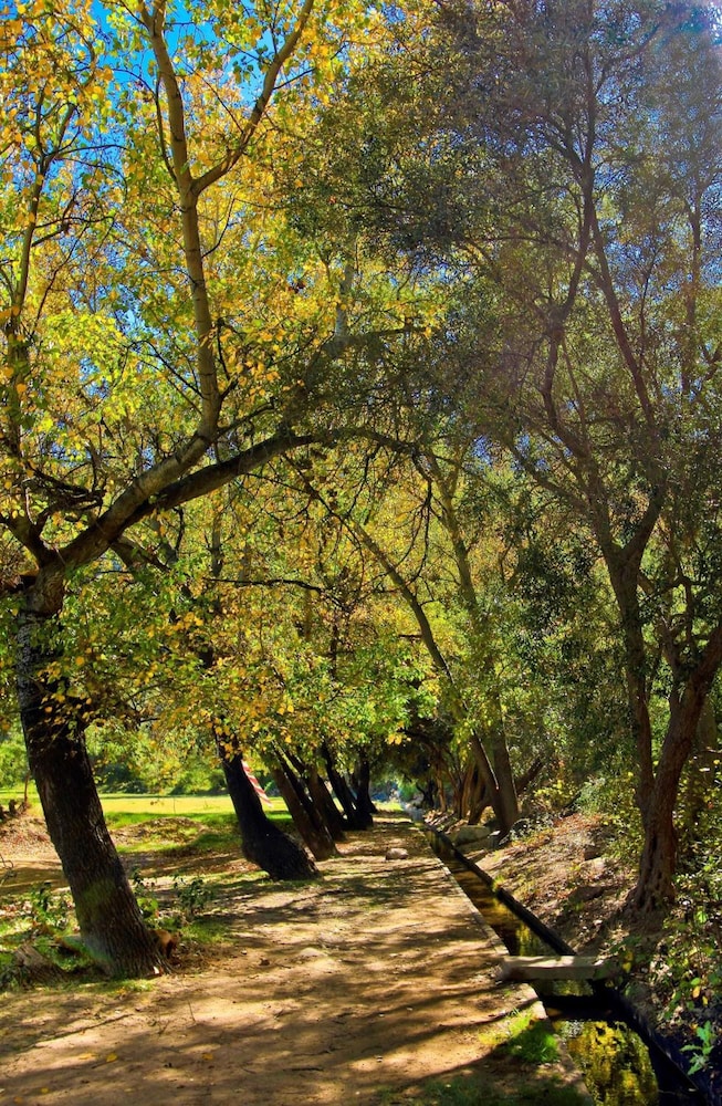 Montagu Vines Guest House