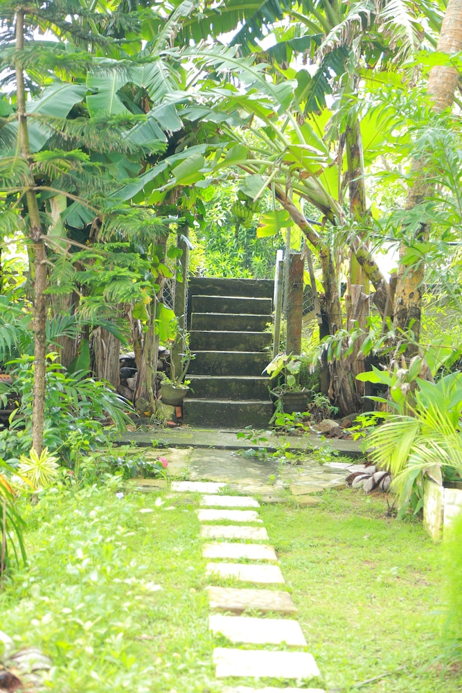 Osanda Guest