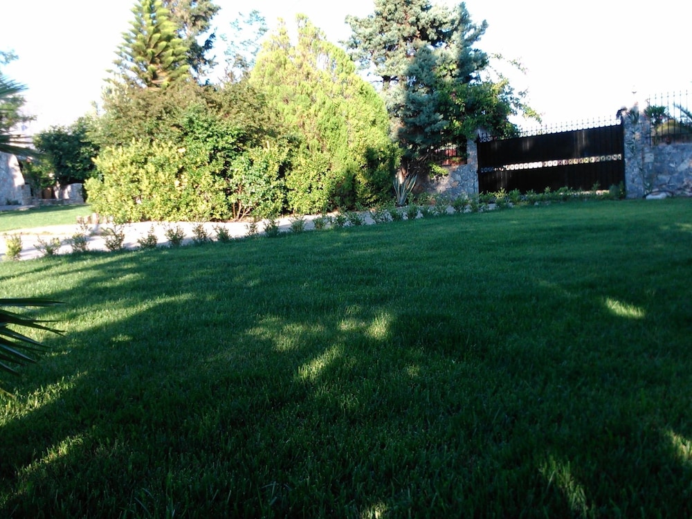 Photo 23