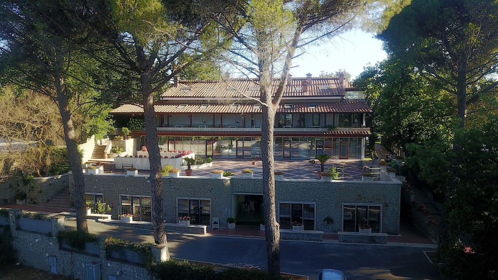 Photo 41