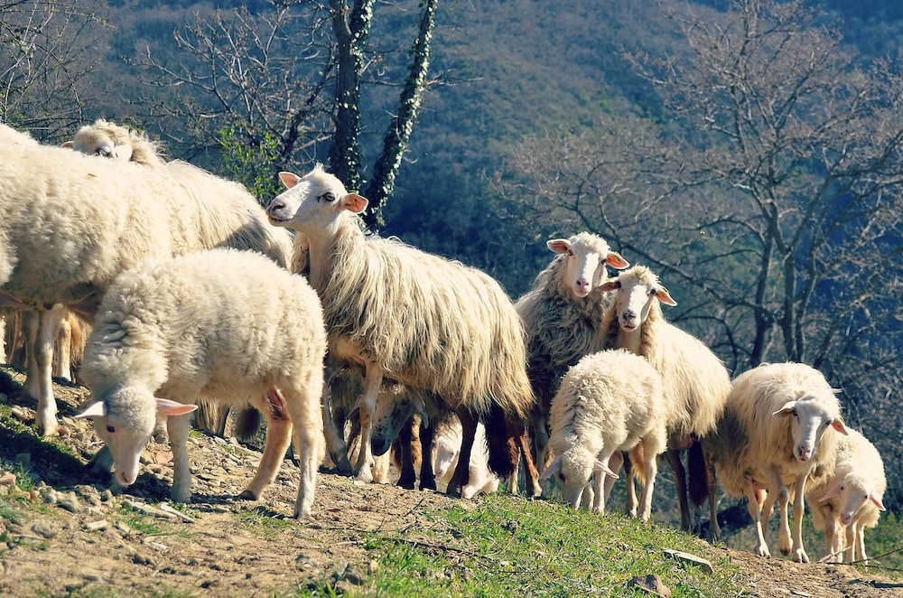 Dimora il Prato
