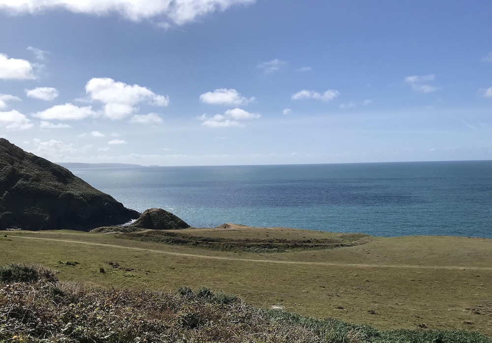 Blaenferwig