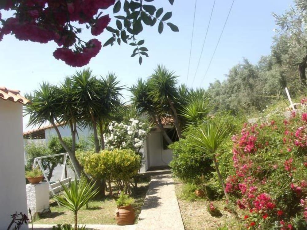 Camelia Studios