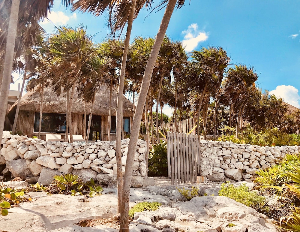 Casa Emily