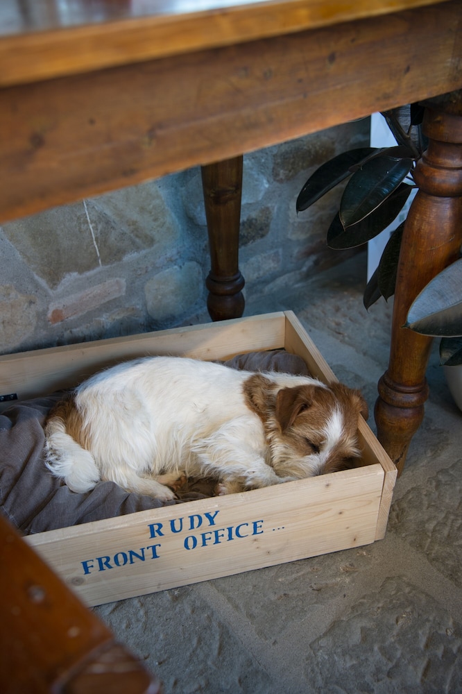 Salvadonica - Borgo del Chianti, photo 18