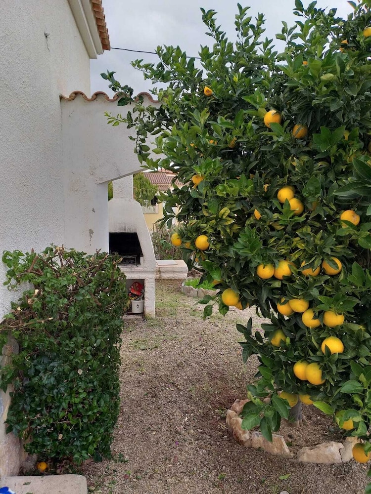 Casa Palmeras IV
