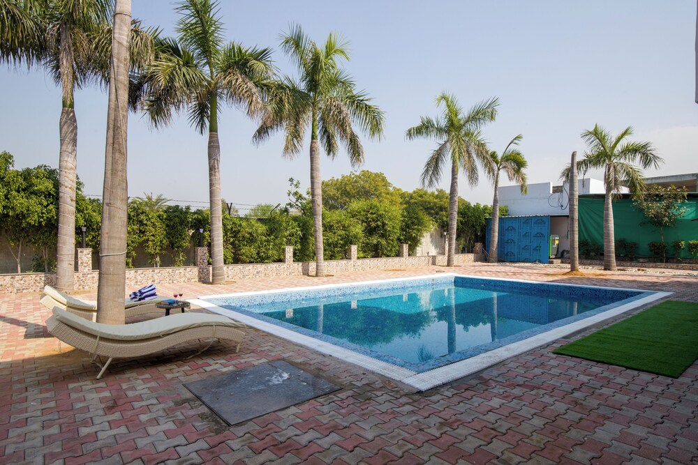 ELIVAAS Ivory Estate Pet-friendly Farm