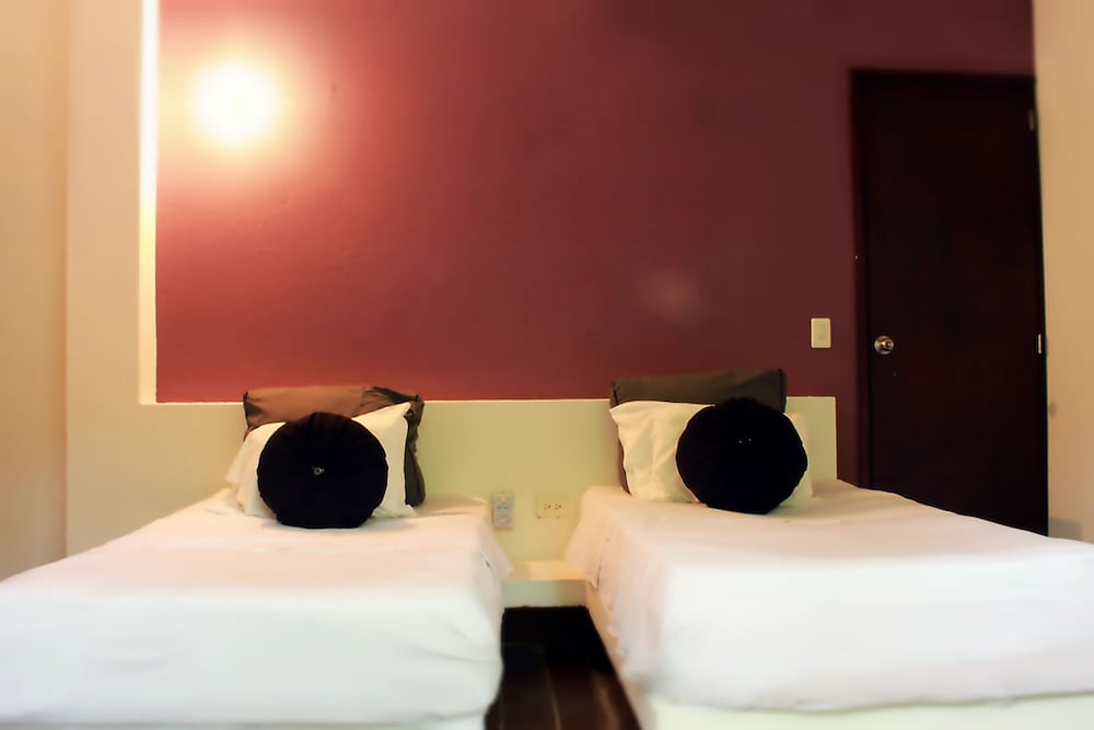 Color Hostel Palomino