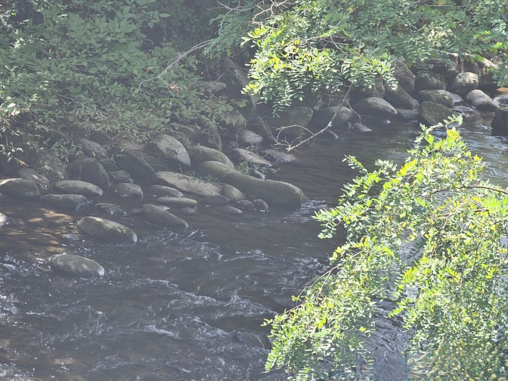 River's Edge