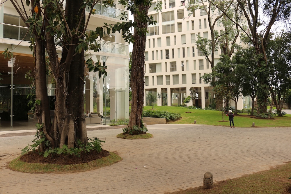 Photo 43