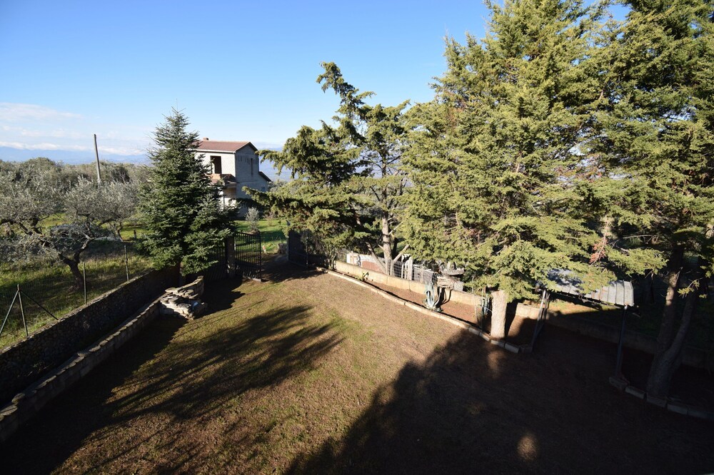 Photo 12