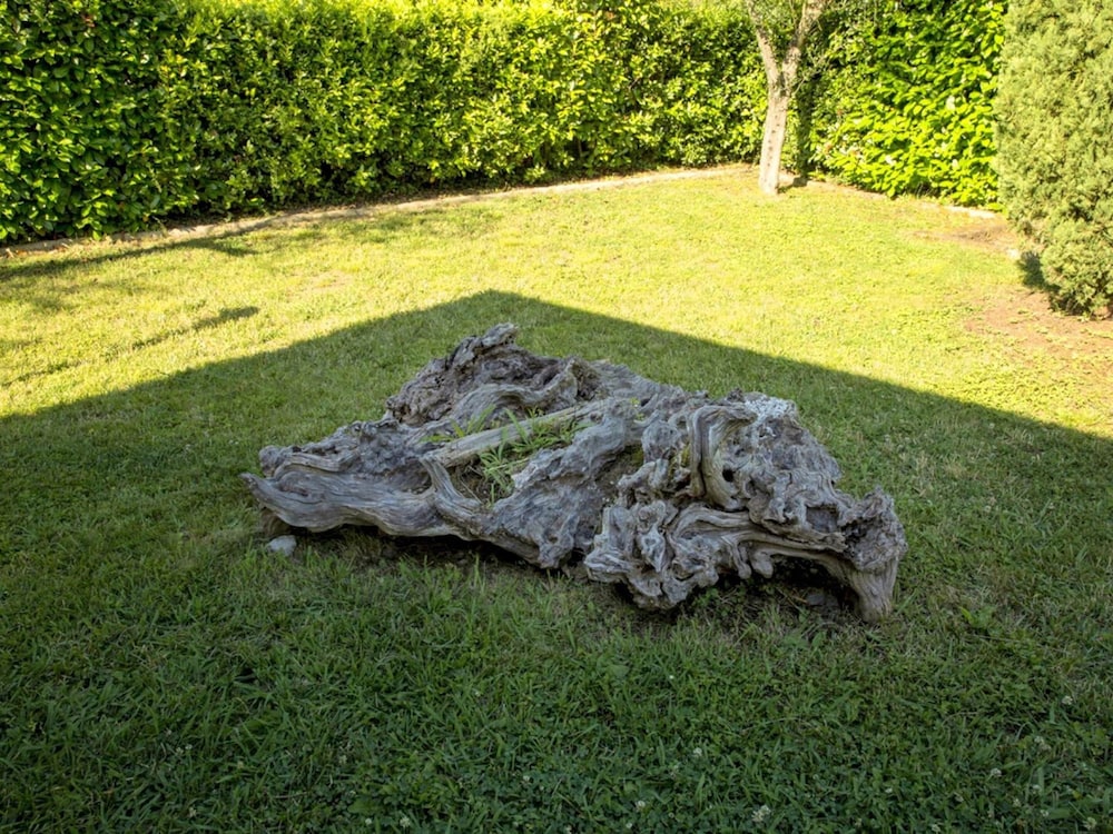 Photo 26