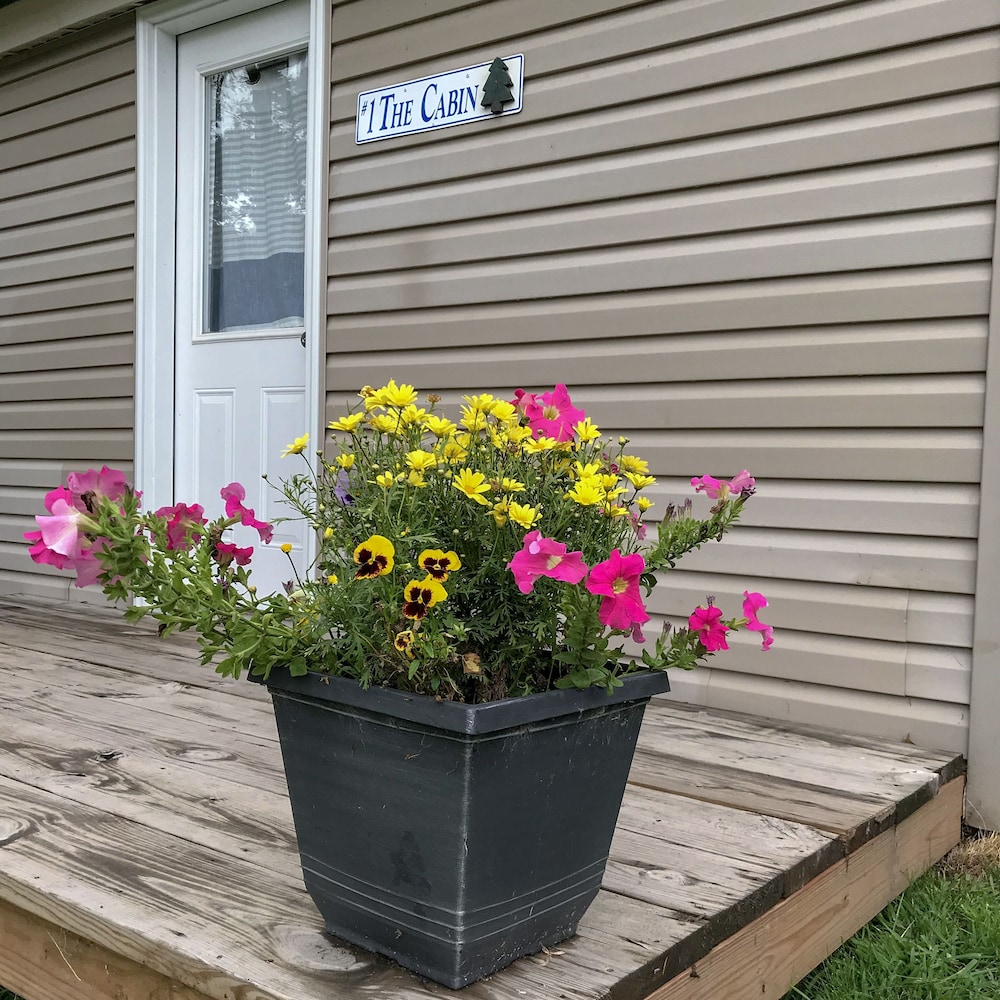 Photo 31