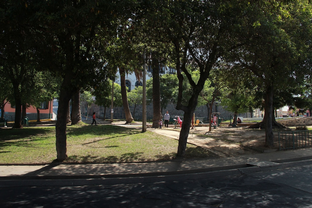 Photo 14