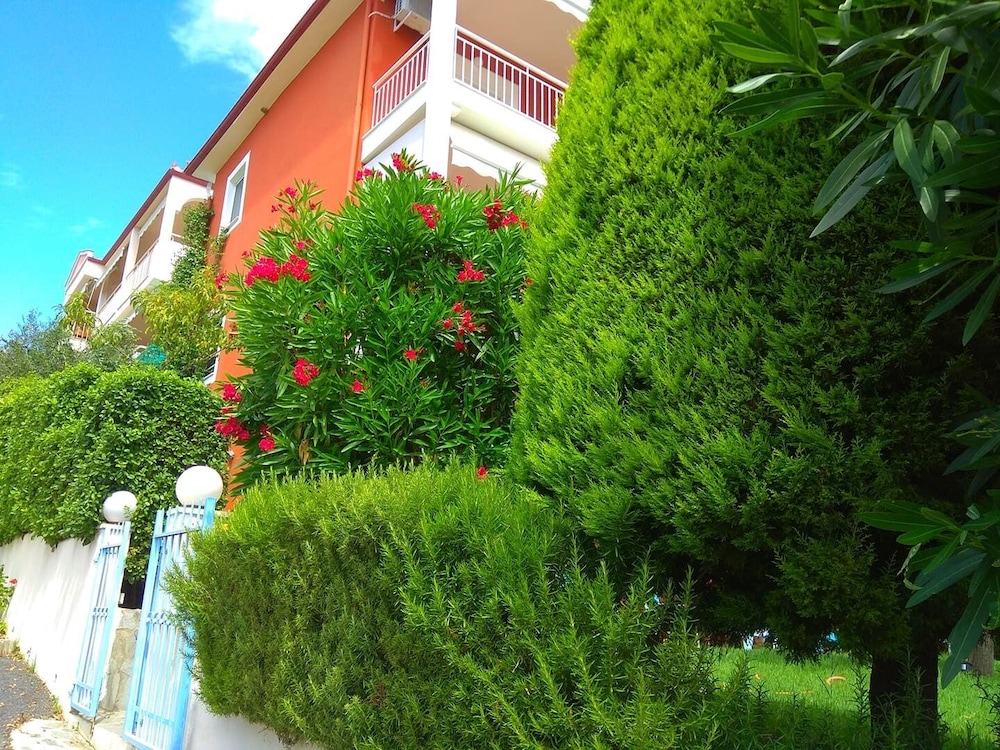 Photo 43
