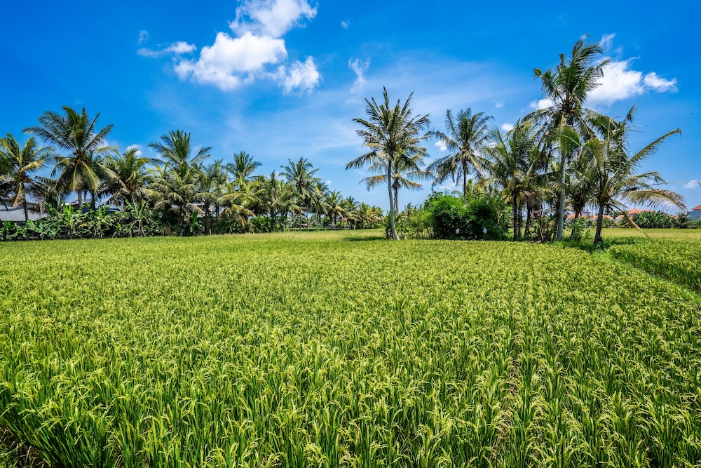 GREEN FLOW Villas III Ubud