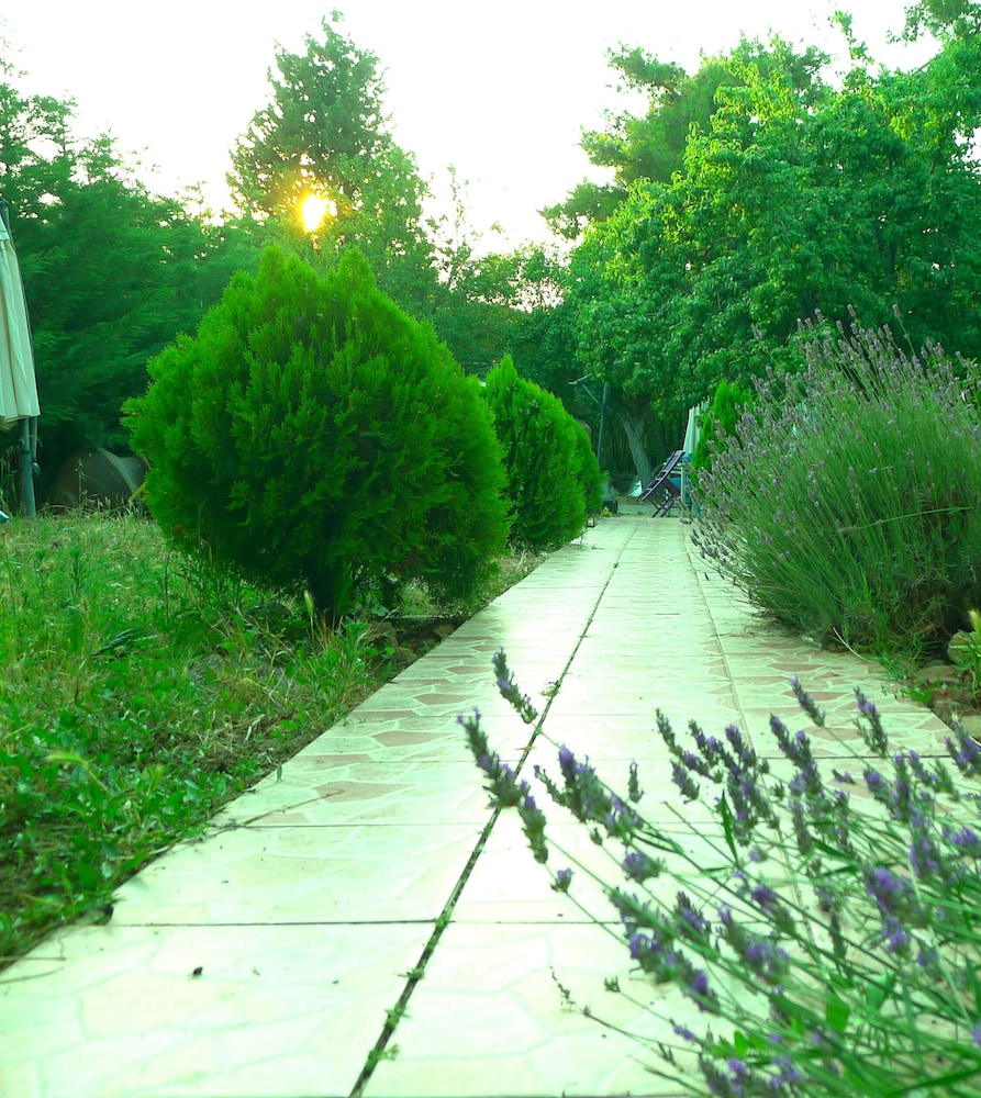Photo 27