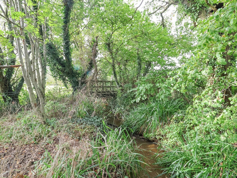 Rhydonnen Bach