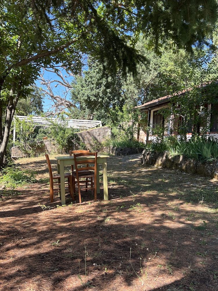 Agriturismo Bosco Pianetti