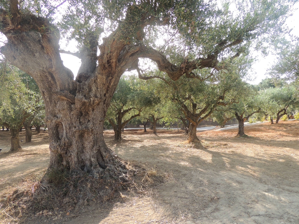 Photo 40