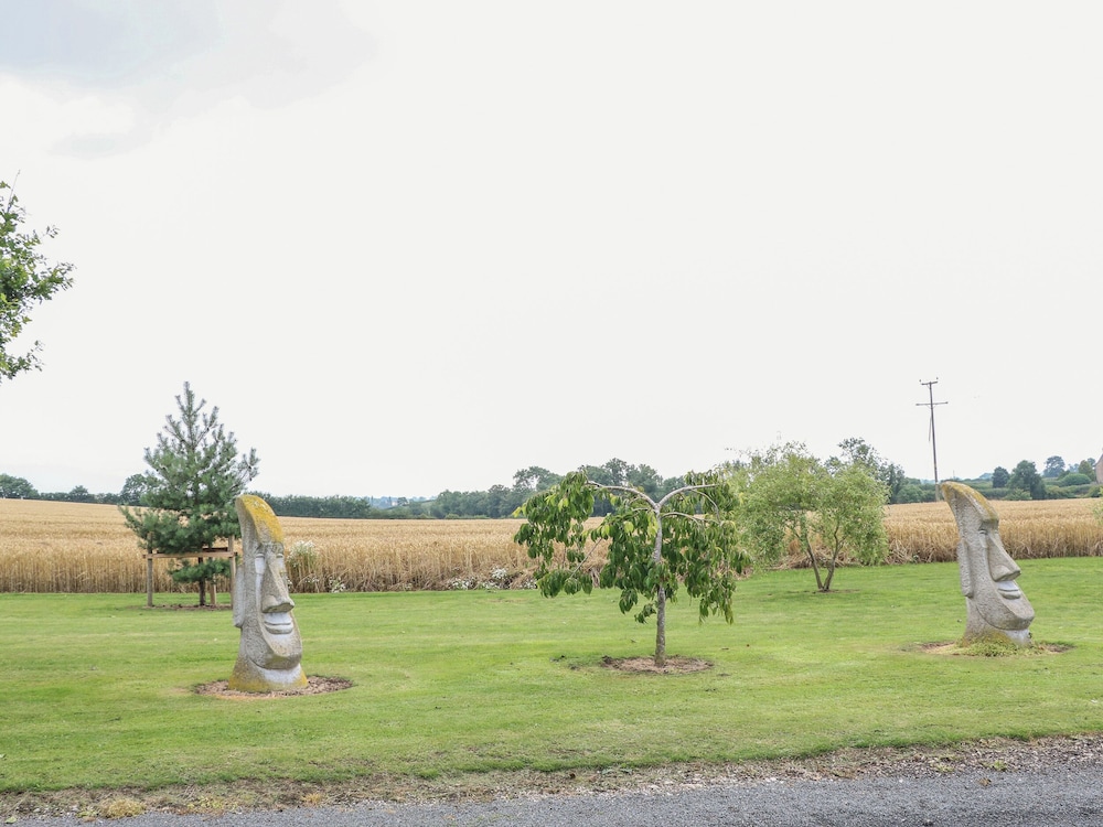 Cornfield