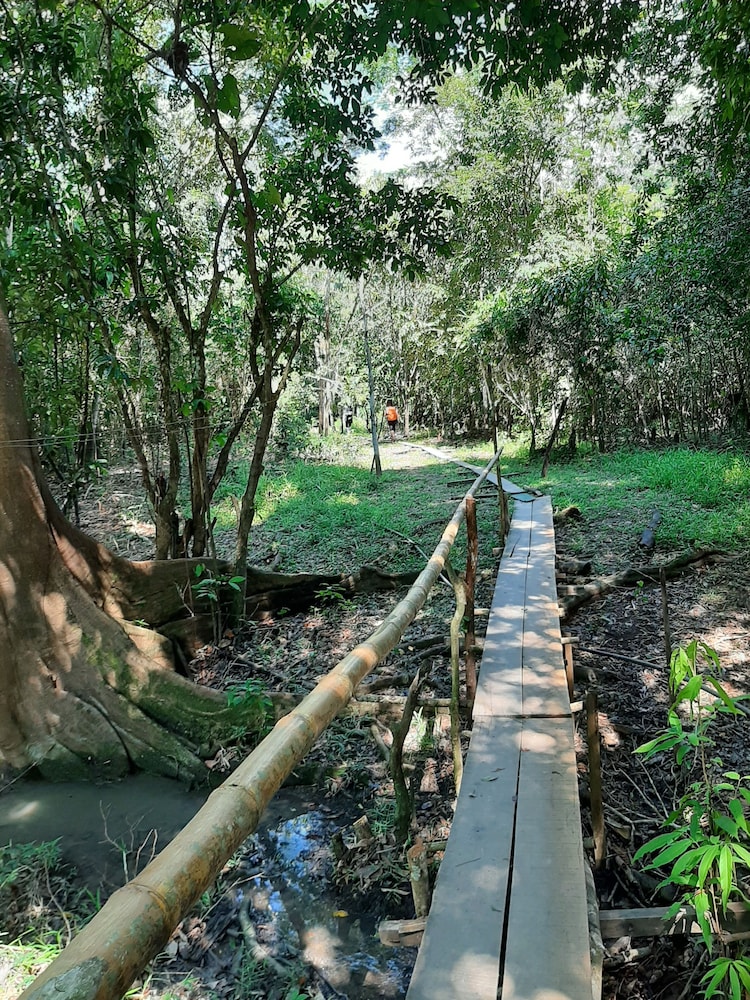 lupuna jungle tours and expeditions view 2