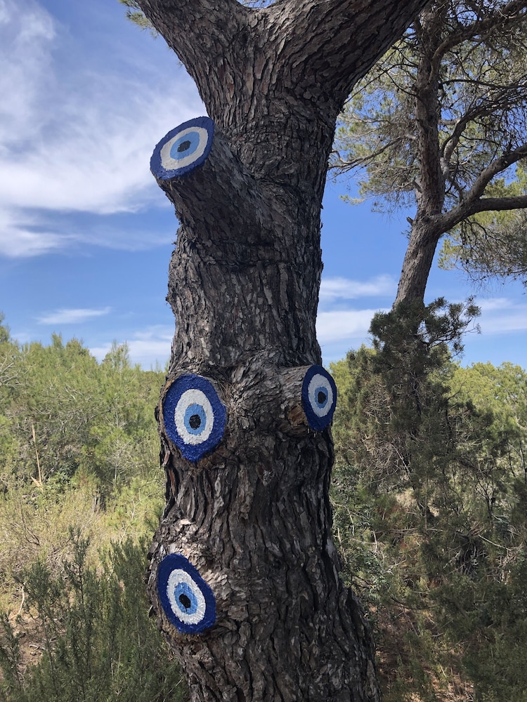 Sa Paret Nova view 2