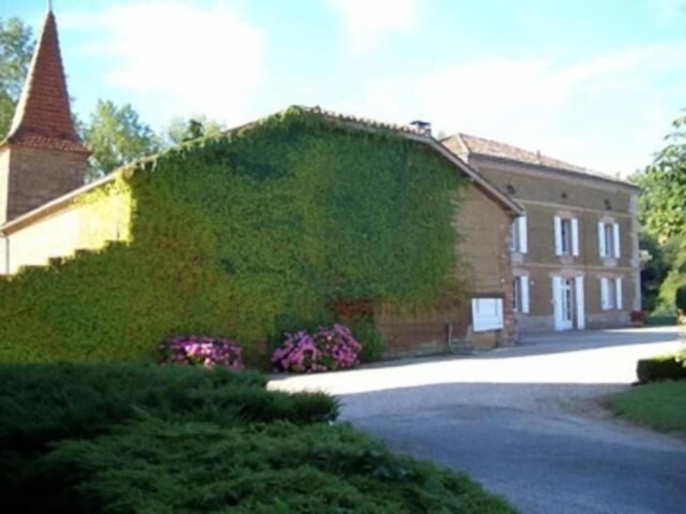 Le Platane