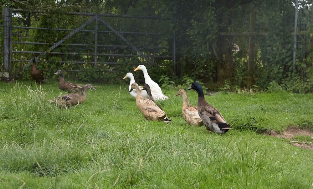 Photo 22