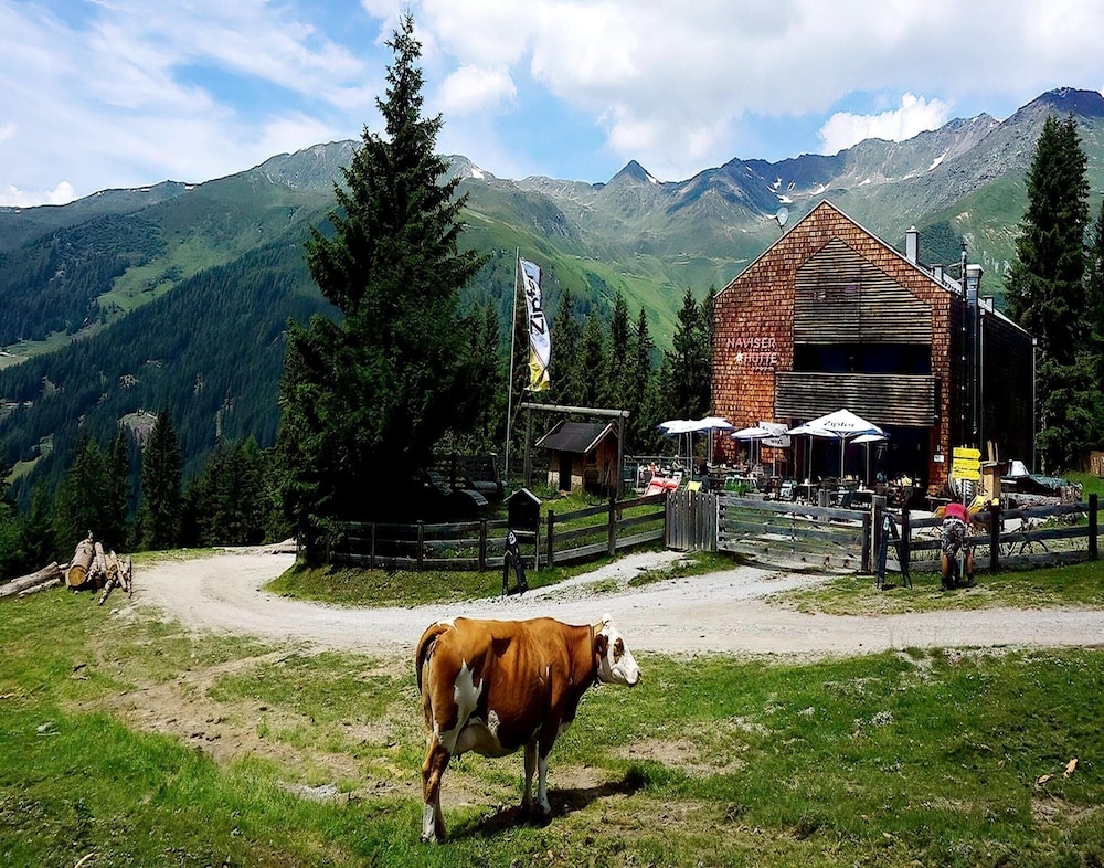 Apartment in Navis Near Berger Alm Ski Resort