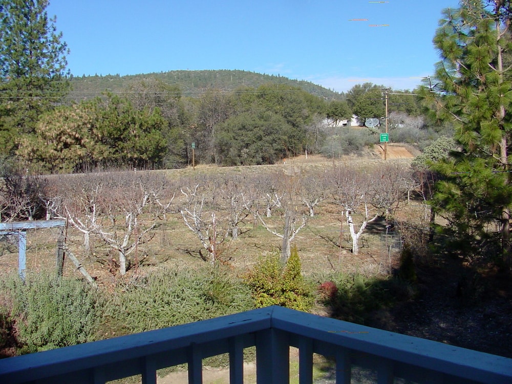 Apple Blossom Inn