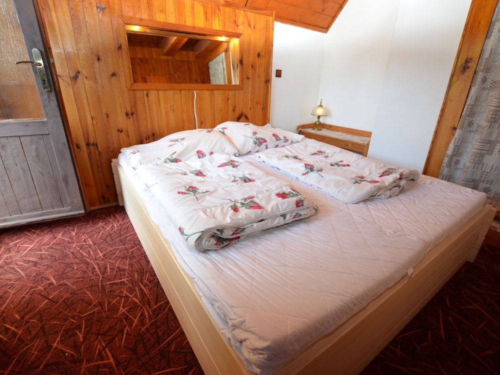Family Chalet in Giant Mountains view 3