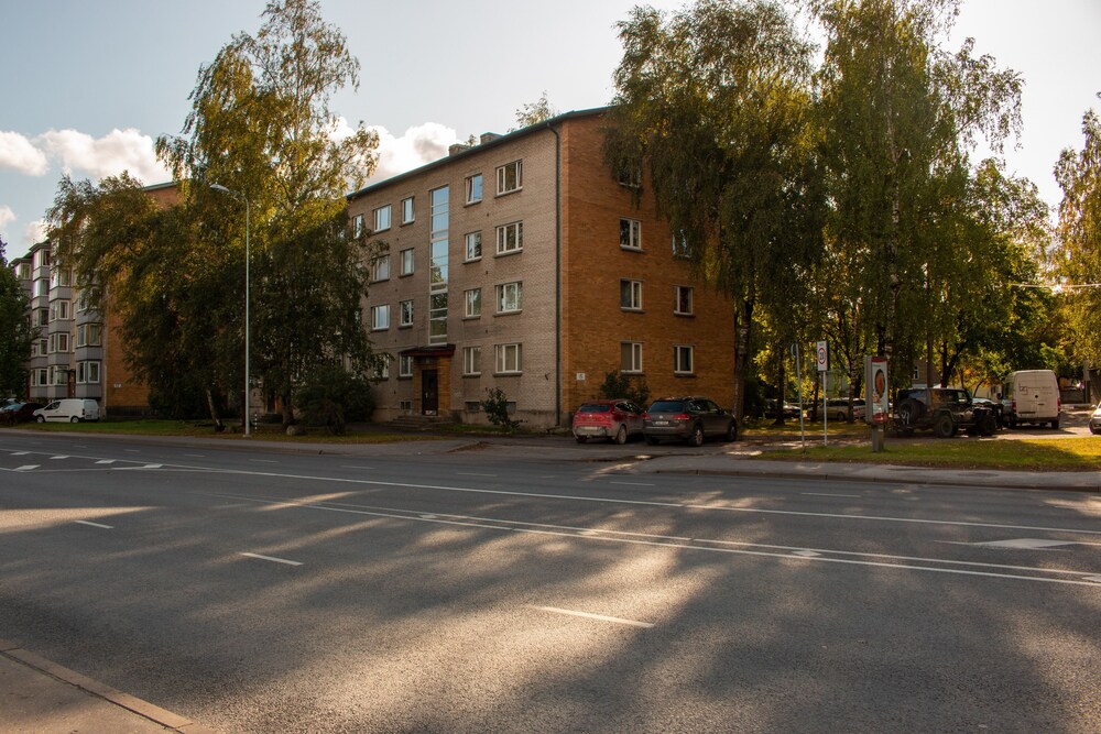 Photo 31