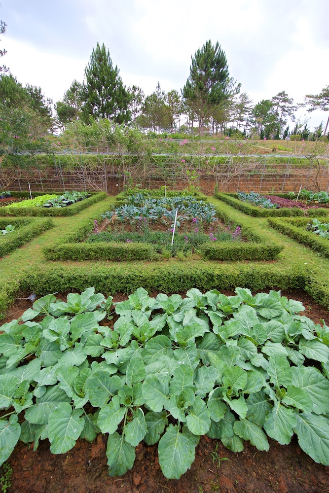 Binh An Village Dalat