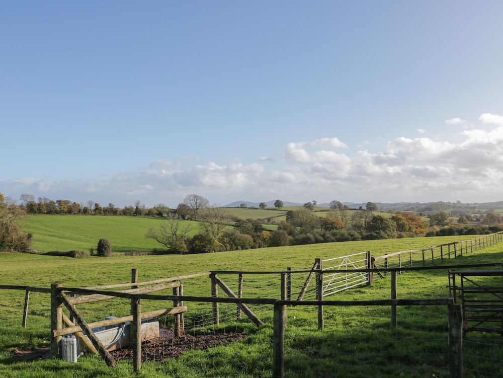 The Cow Shed