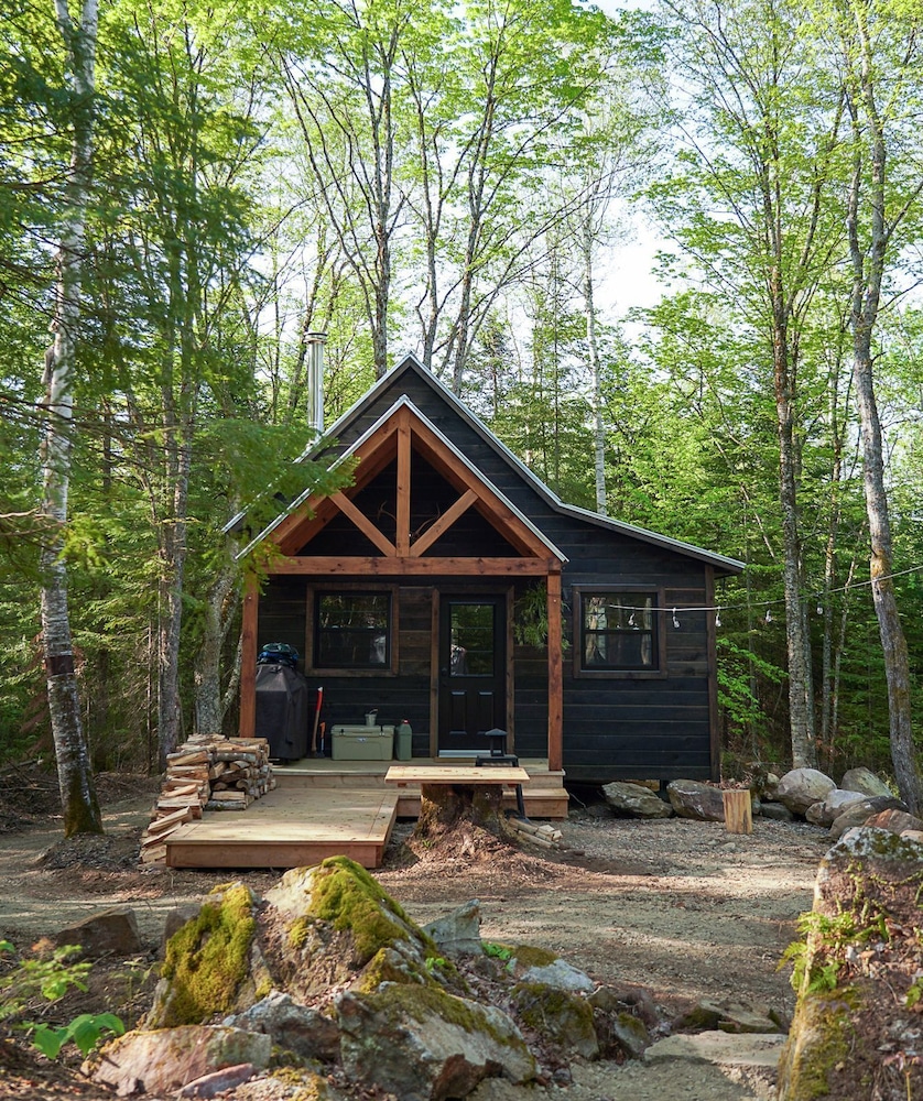 Lièvre Rouge- Refuge en forêt