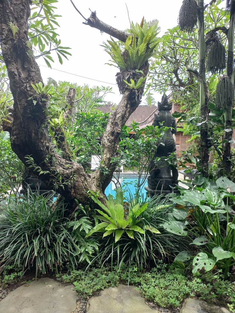 Mahayana Guest House Ubud
