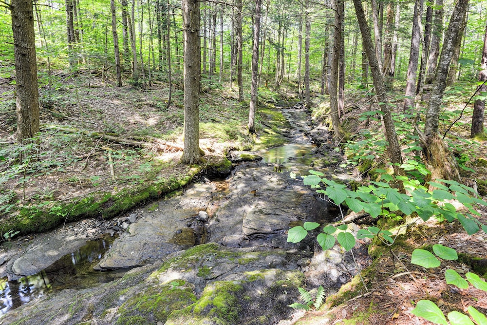 Adventure Meets Comfort: 6 Mi to Mount Snow! view 3
