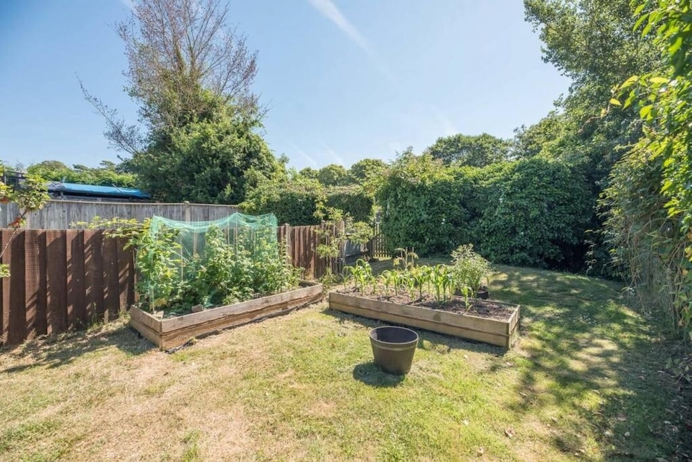 Rose Cottage Halesworth Air Manage Suffolk, photo 20