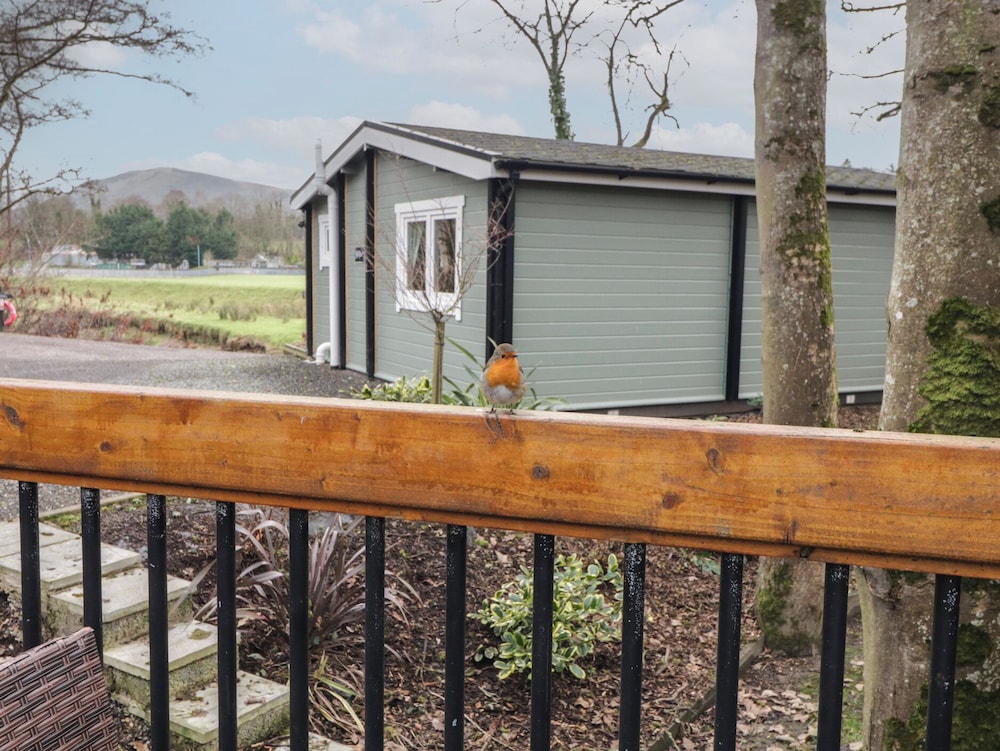 Hexagon Hut - Dec Update