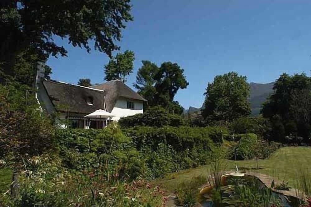 Constantia Woods