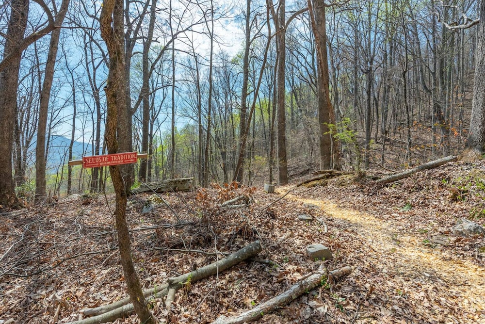 Heart Soul Log Cabin Sanctuary w Walking Trails
