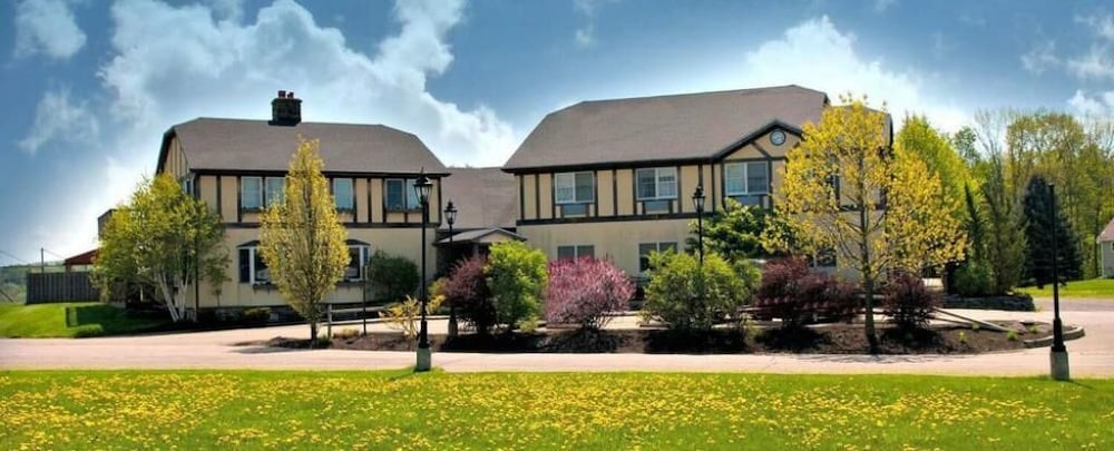 Photo 8