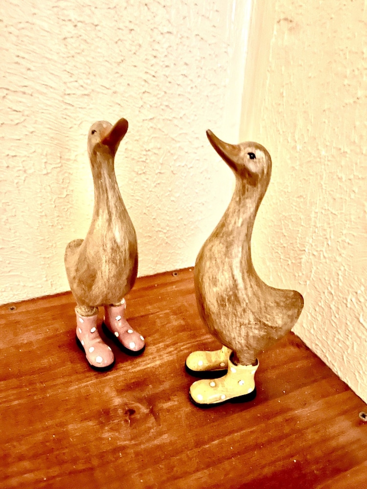 Photo 41