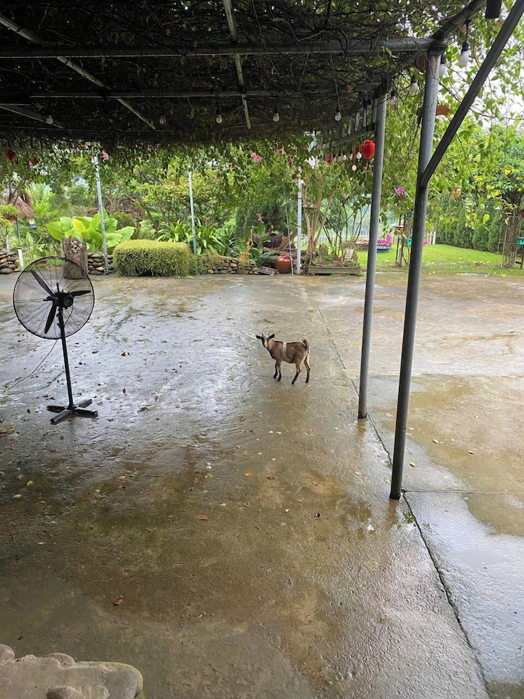 Mi House Nghia Lo Yen Bai