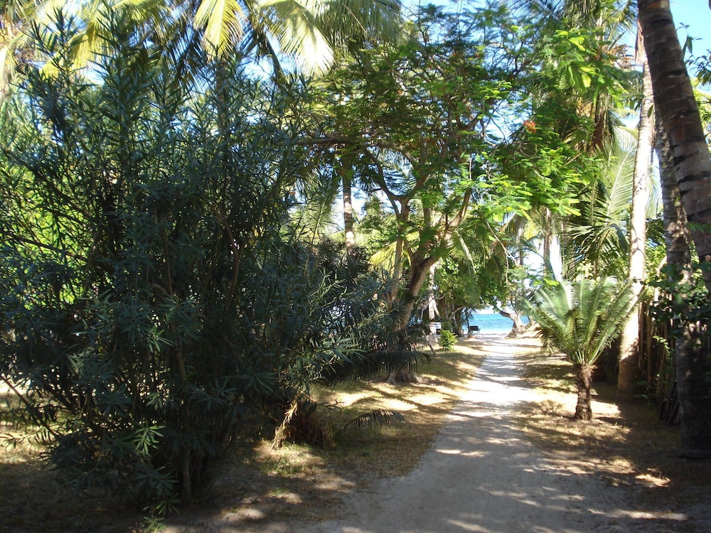Coconut Beach Apartments