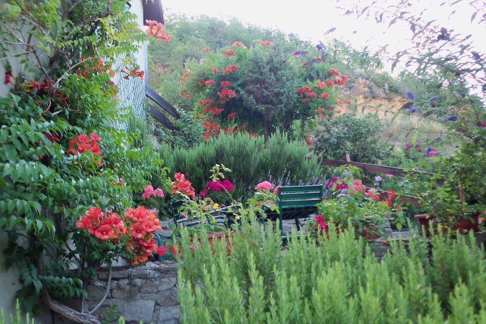 Photo 7