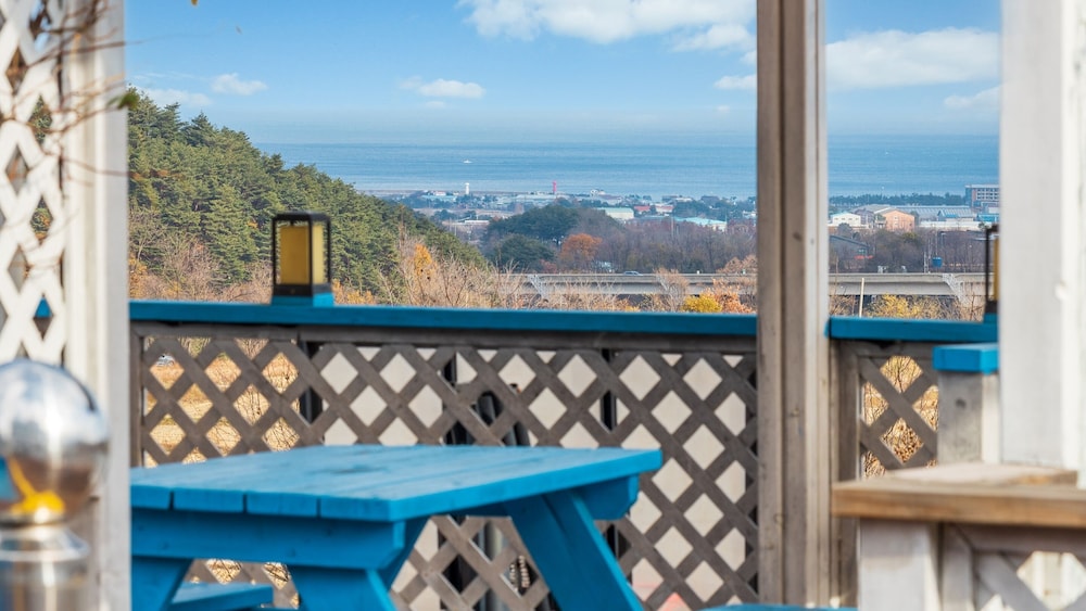 Yangyang Monti Pet Spa Pension