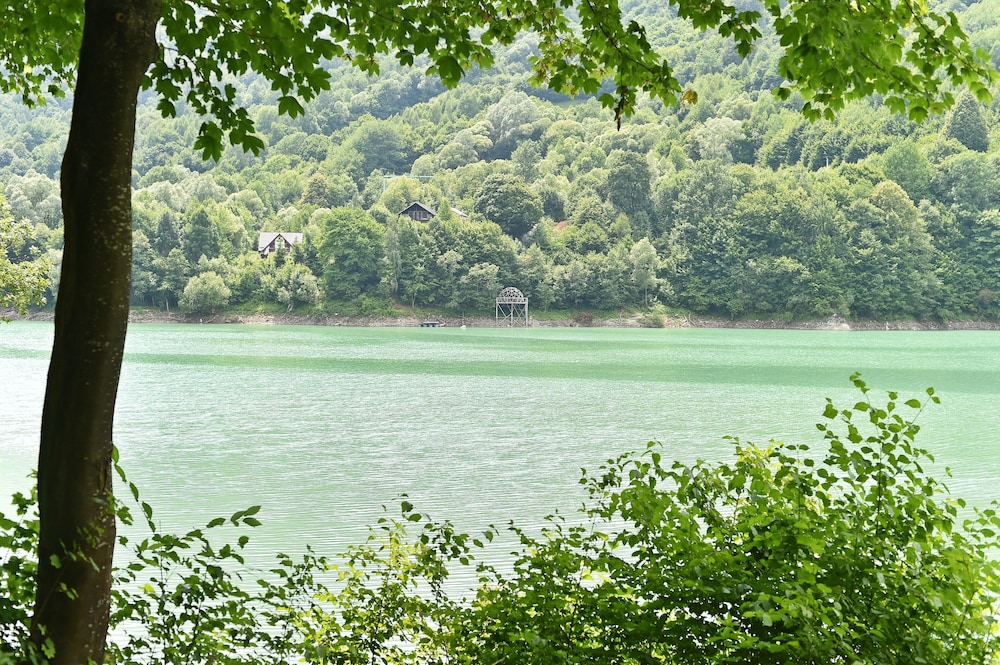 Photo 42
