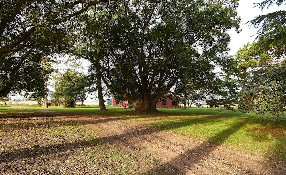 Hestia at San Antonio de Areco